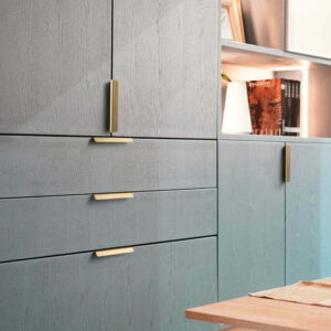 Modern Cabinet with Brass Handle